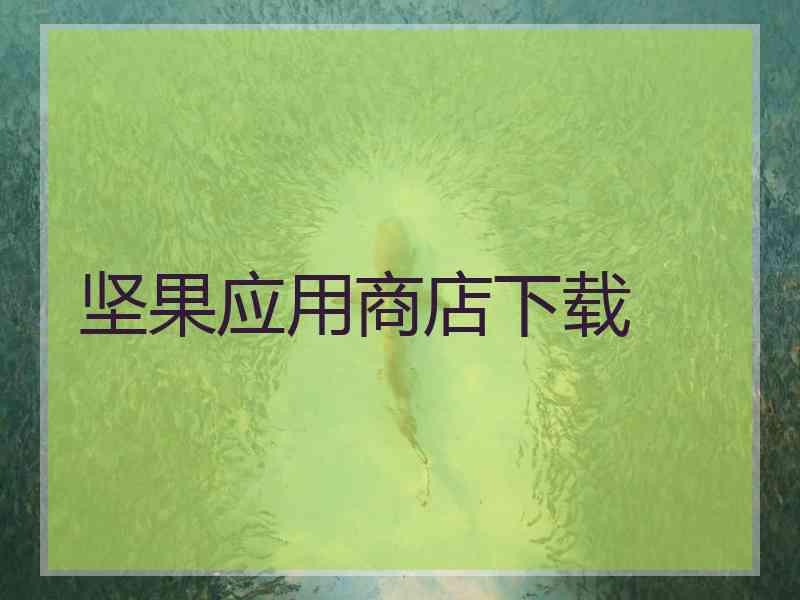 坚果应用商店下载