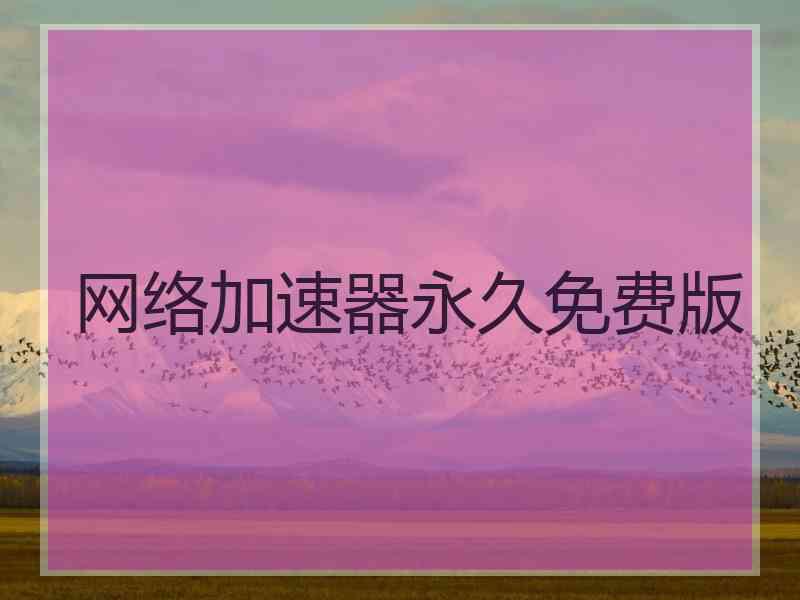 网络加速器永久免费版