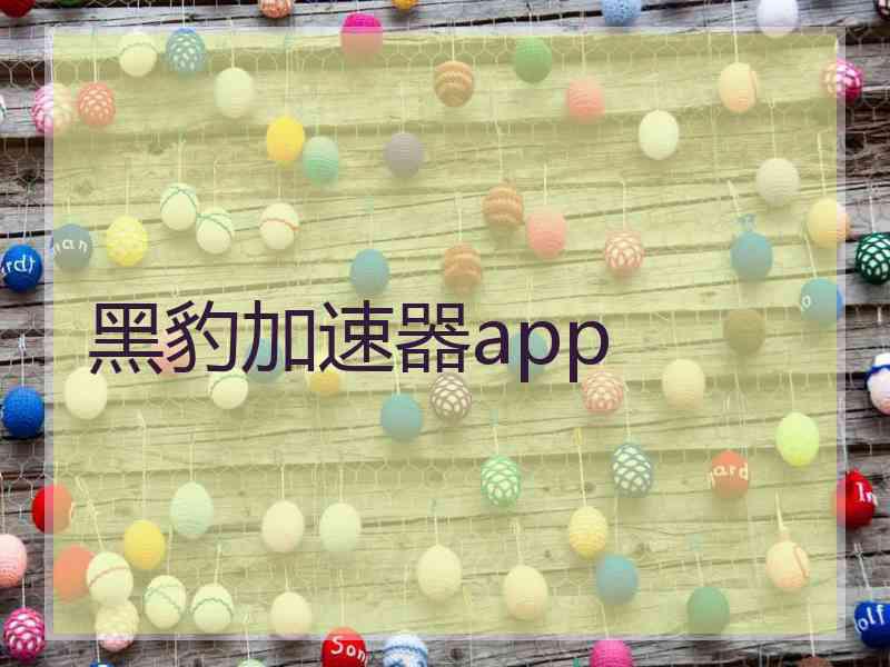 黑豹加速器app