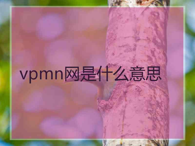 vpmn网是什么意思