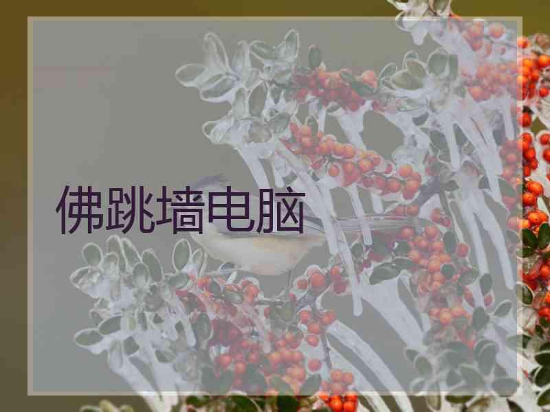 佛跳墙电脑