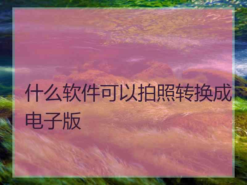 什么软件可以拍照转换成电子版