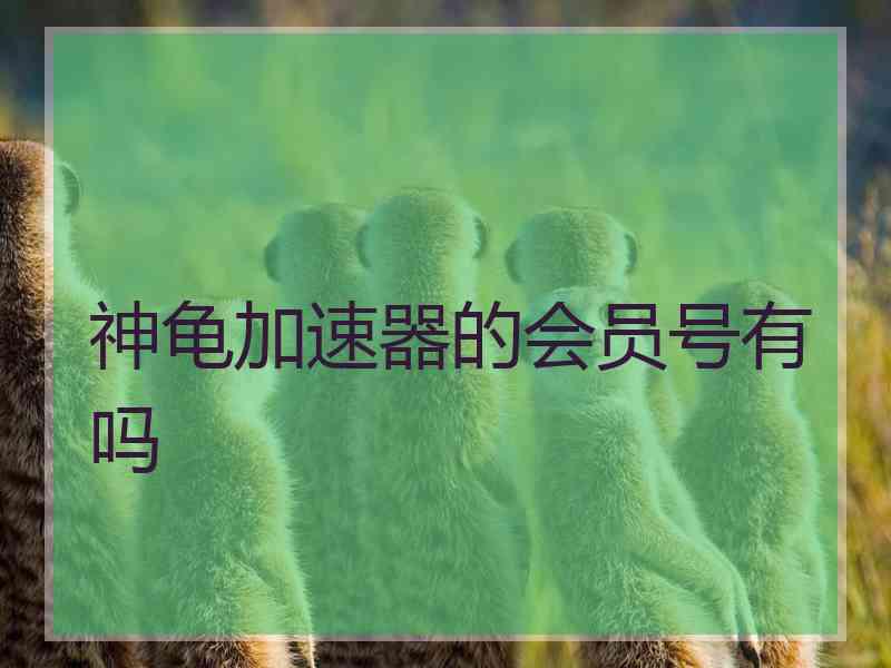 神龟加速器的会员号有吗