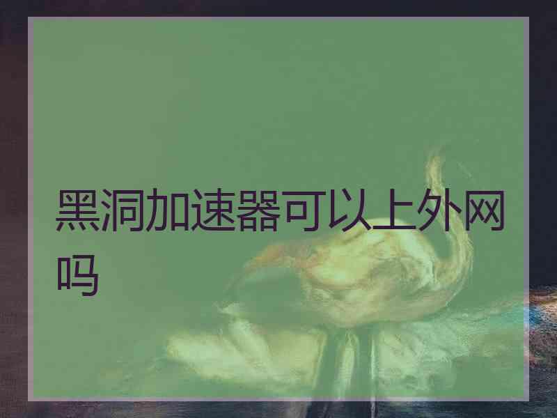 黑洞加速器可以上外网吗