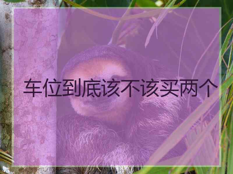 车位到底该不该买两个