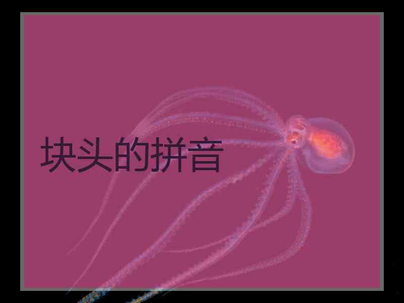 块头的拼音