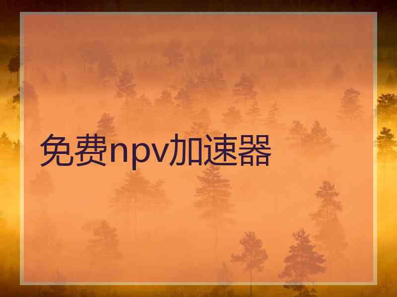 免费npv加速器