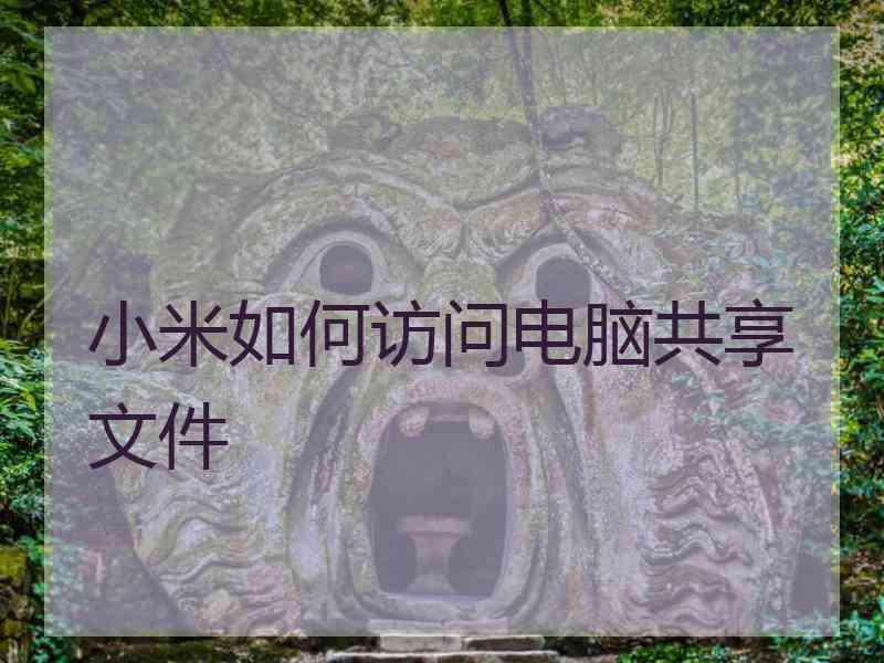小米如何访问电脑共享文件