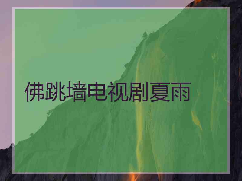 佛跳墙电视剧夏雨