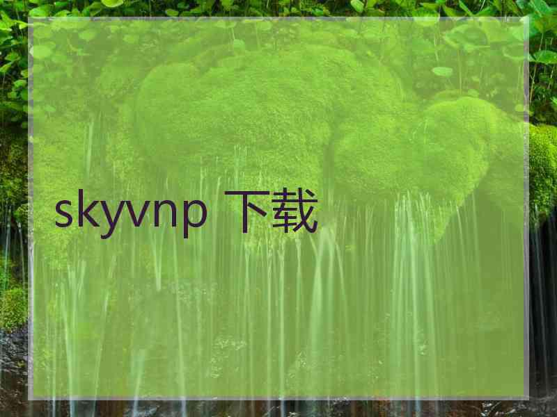 skyvnp 下载