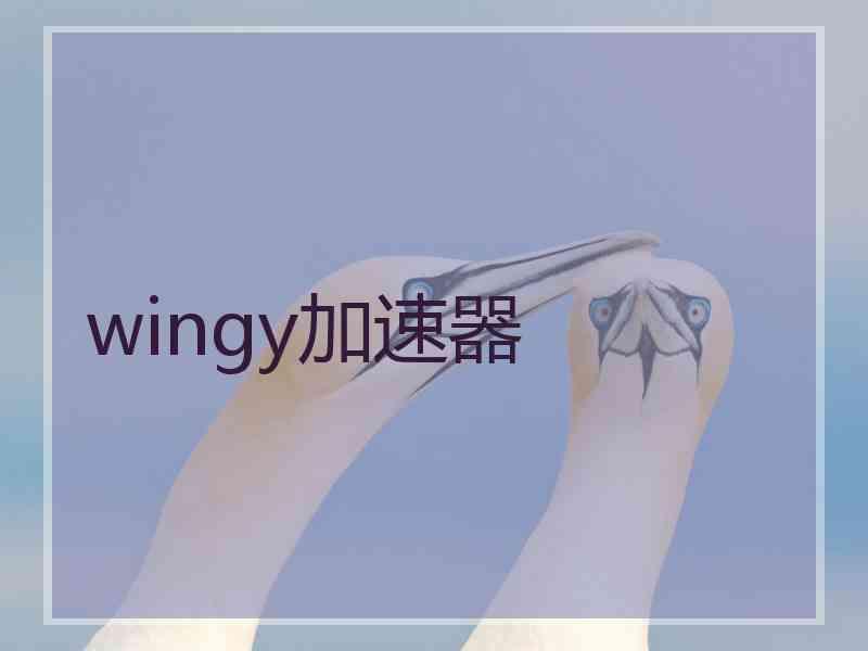 wingy加速器