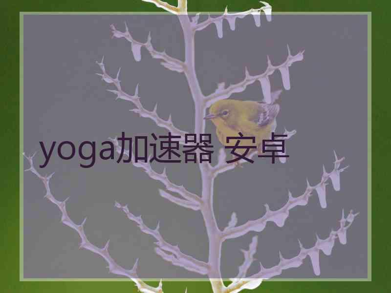 yoga加速器 安卓