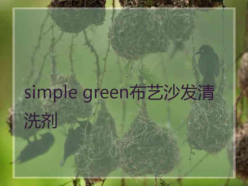 simple green布艺沙发清洗剂