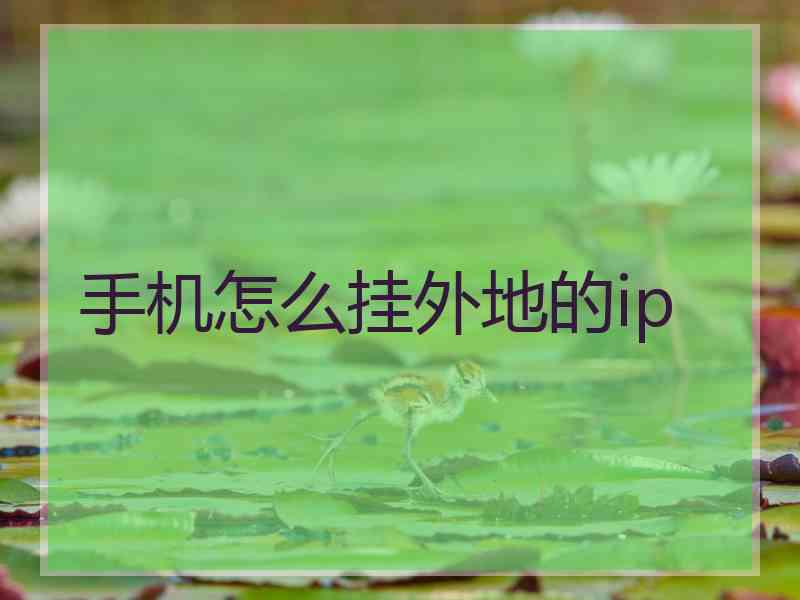 手机怎么挂外地的ip