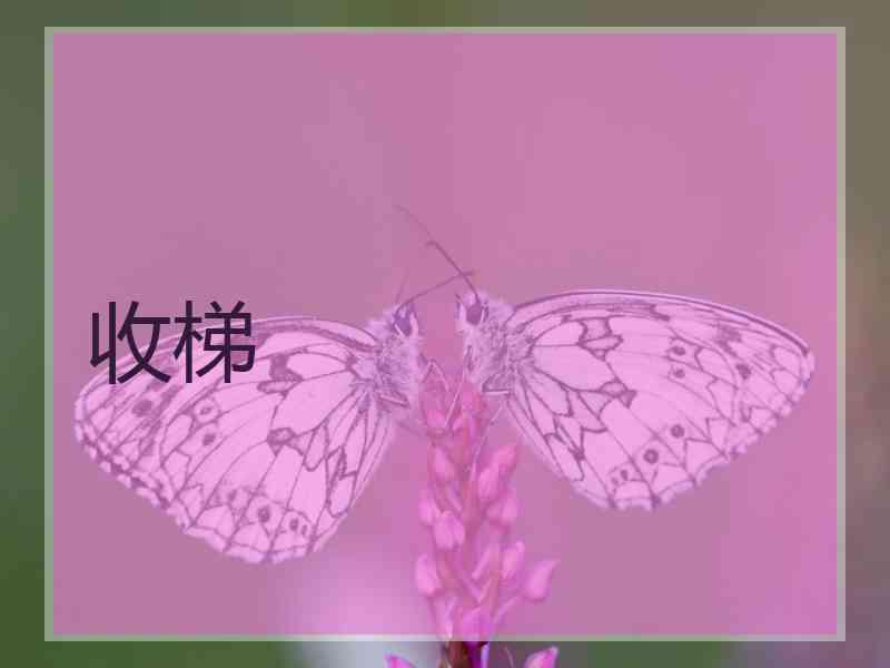 收梯