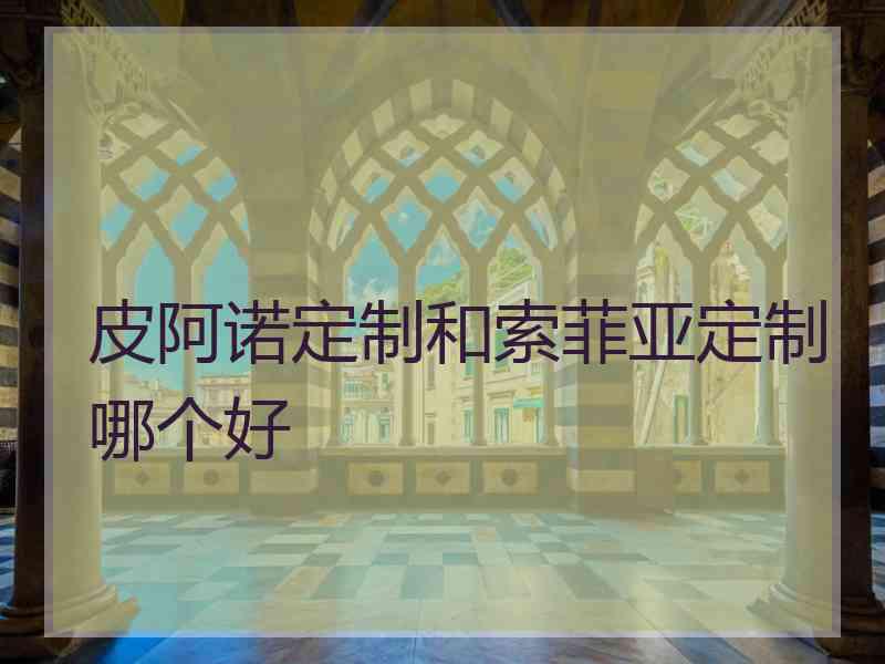 皮阿诺定制和索菲亚定制哪个好