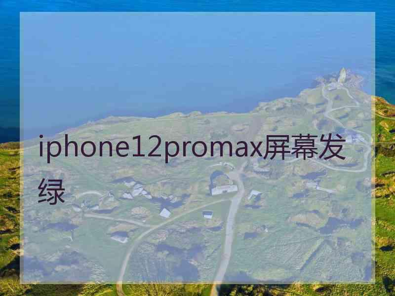 iphone12promax屏幕发绿