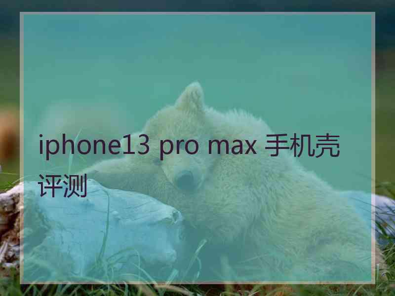iphone13 pro max 手机壳评测