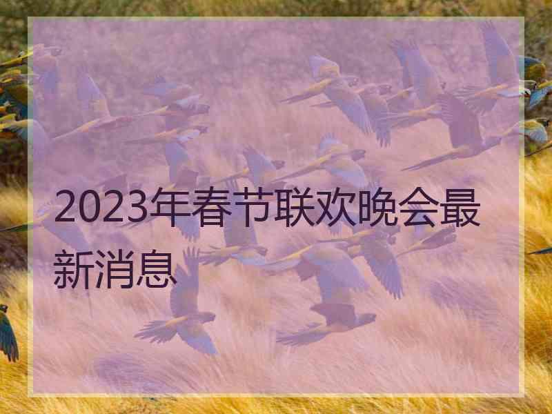 2023年春节联欢晚会最新消息