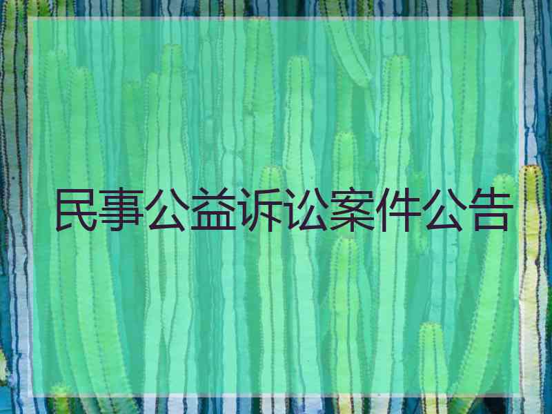 民事公益诉讼案件公告