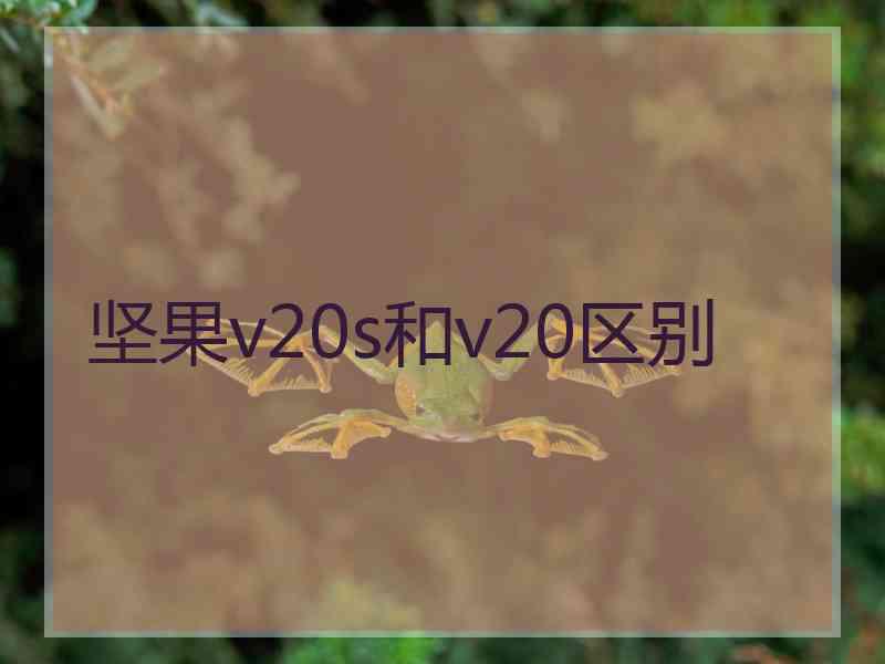 坚果v20s和v20区别