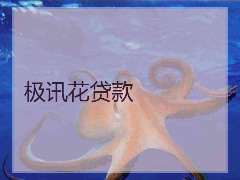 极讯花贷款