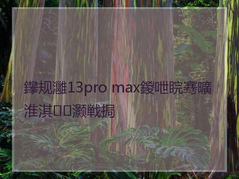 鑻规灉13pro max鍐呭睆骞曠淮淇灏戦挶