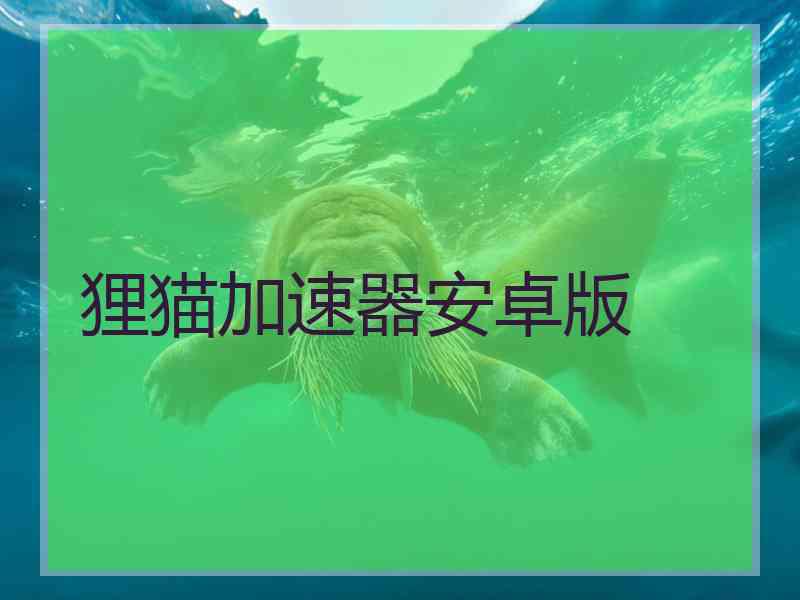 狸猫加速器安卓版