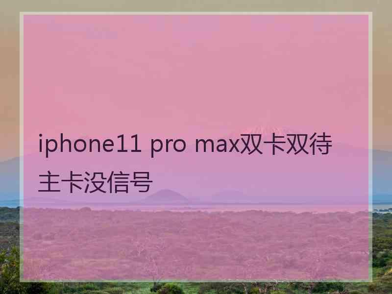 iphone11 pro max双卡双待主卡没信号