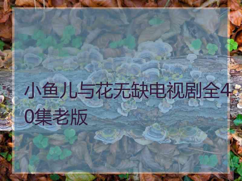 小鱼儿与花无缺电视剧全40集老版