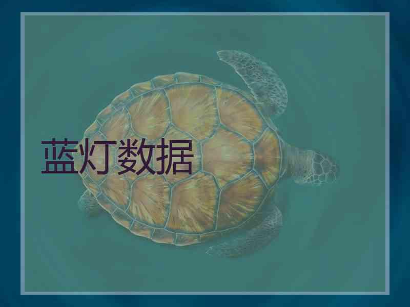 蓝灯数据