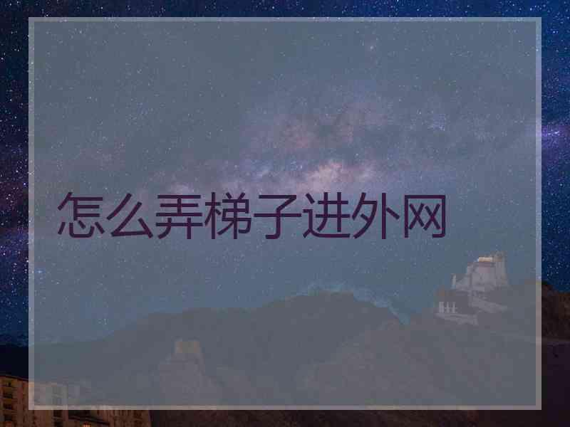 怎么弄梯子进外网