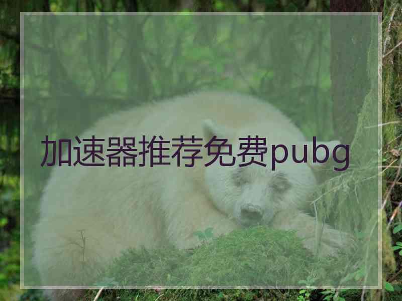 加速器推荐免费pubg
