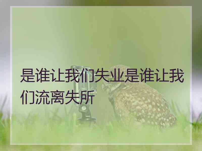 是谁让我们失业是谁让我们流离失所