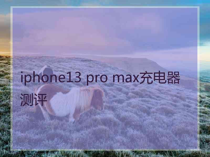 iphone13 pro max充电器测评