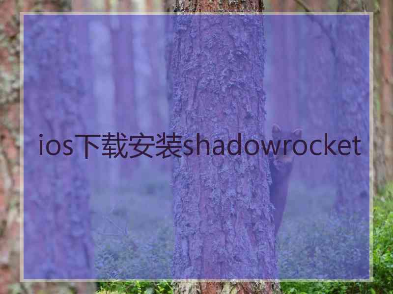 ios下载安装shadowrocket