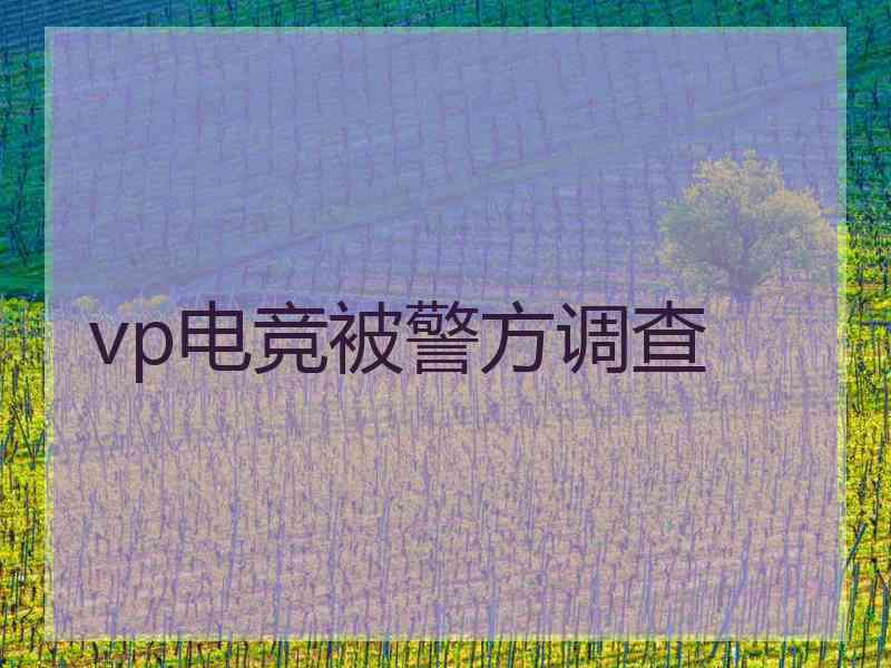 vp电竞被警方调查