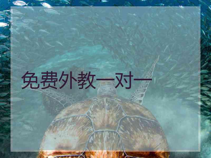 免费外教一对一