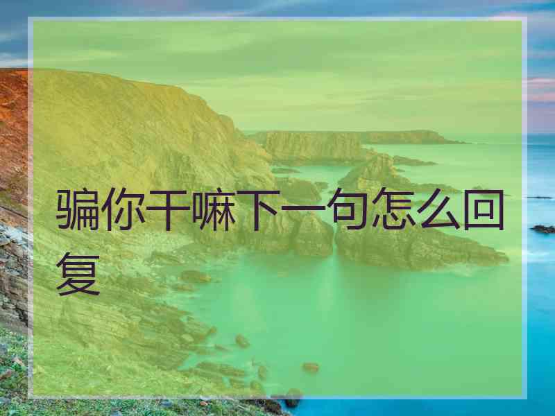 骗你干嘛下一句怎么回复