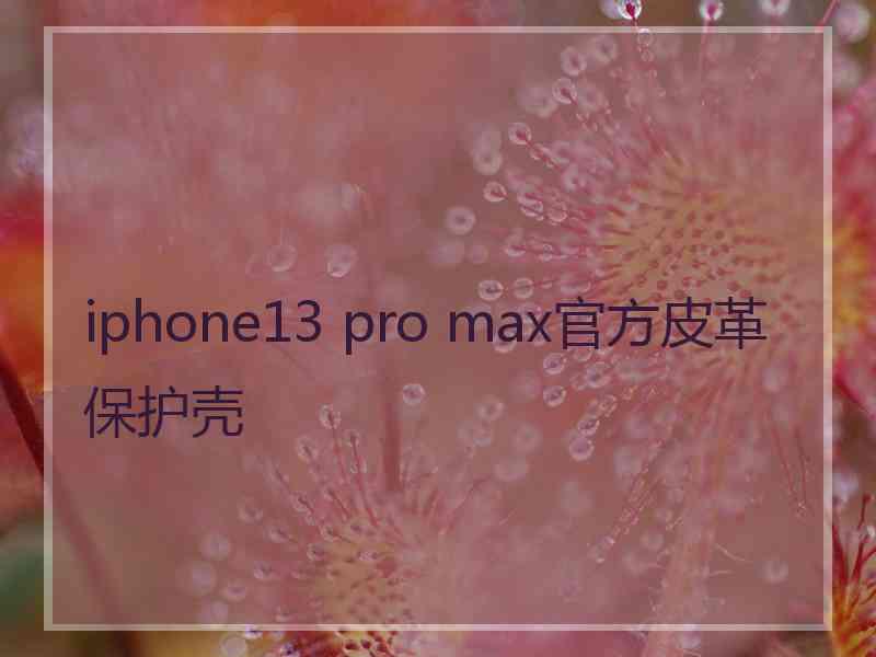 iphone13 pro max官方皮革保护壳
