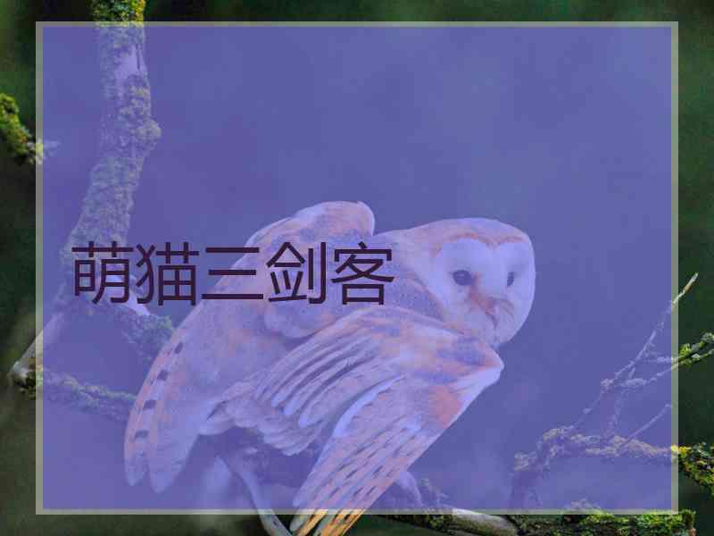 萌猫三剑客