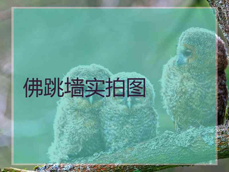 佛跳墙实拍图
