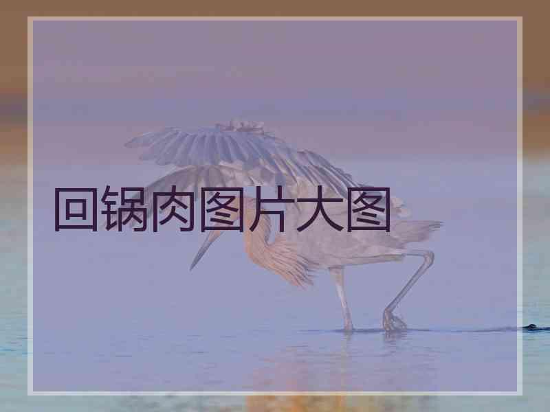 回锅肉图片大图