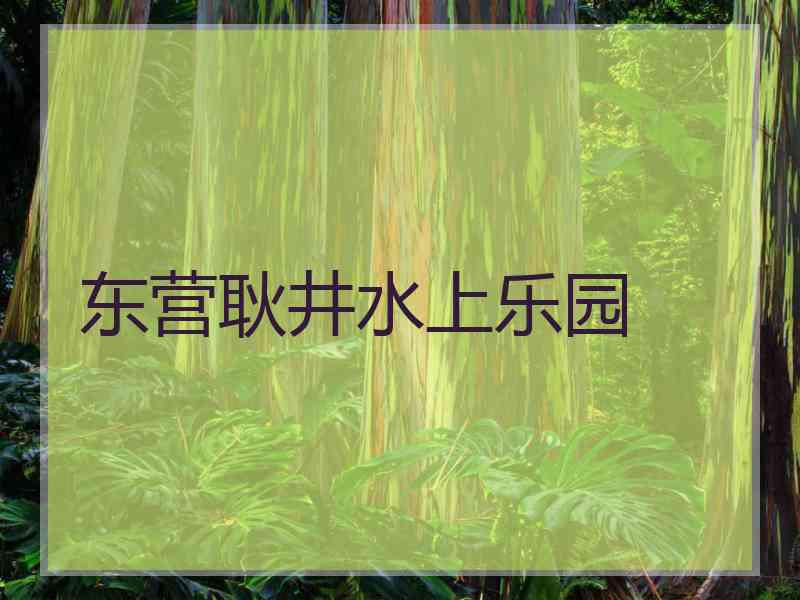 东营耿井水上乐园