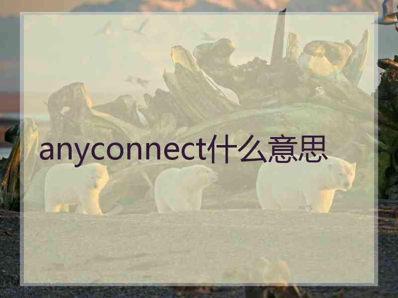 anyconnect什么意思