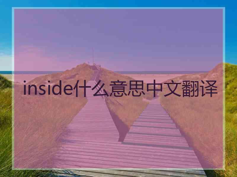 inside什么意思中文翻译