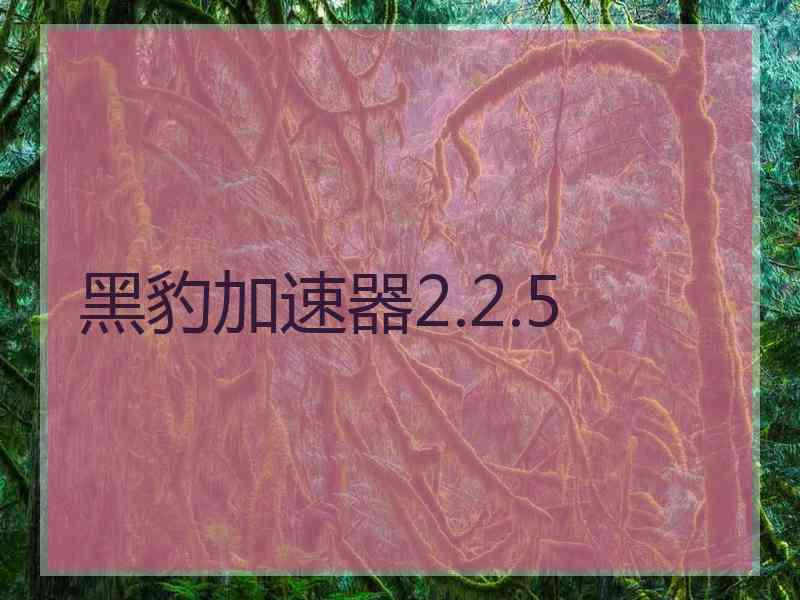 黑豹加速器2.2.5