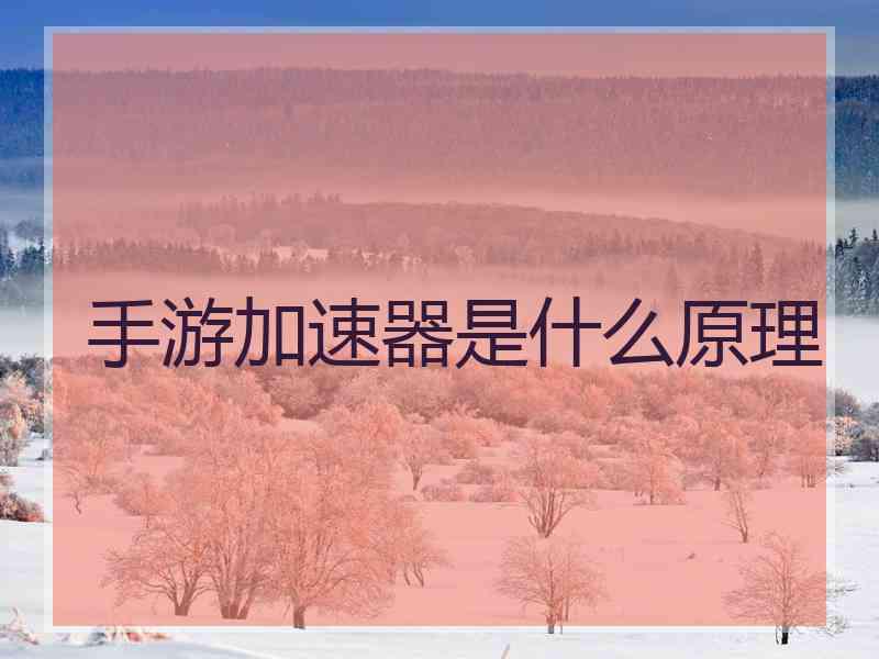 手游加速器是什么原理