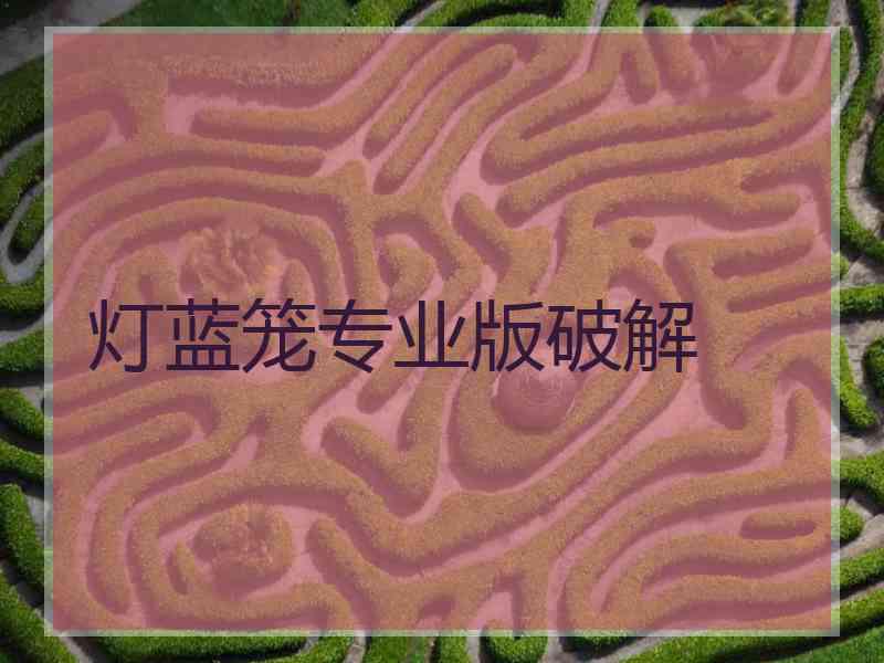 灯蓝笼专业版破解