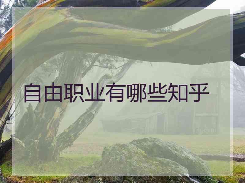 自由职业有哪些知乎